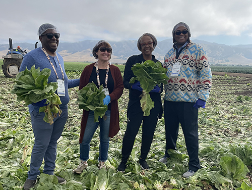 4 people in field of romaine lettuce