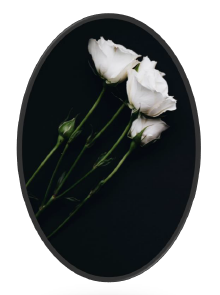 three white roses in black oval