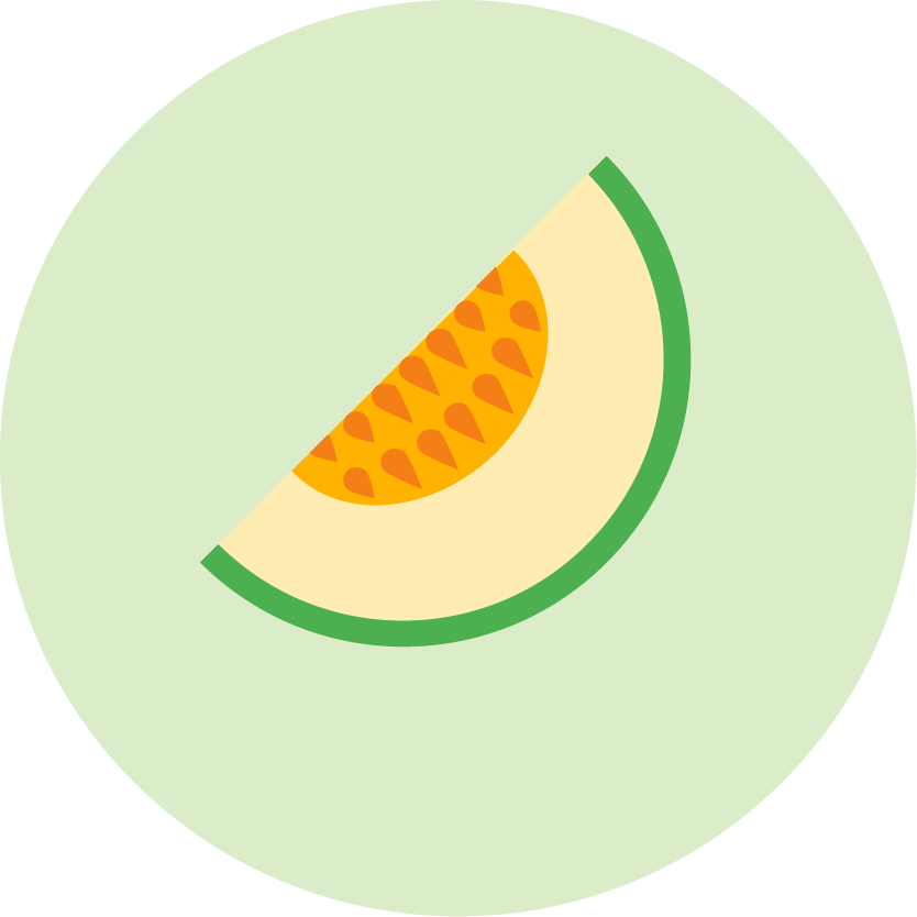 cantaloupe icon