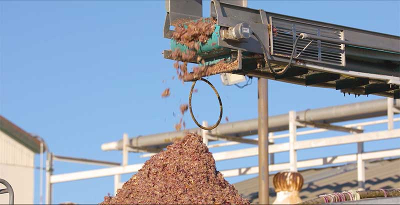 A conveyor belt on a Cake Extractor delivers it's product.