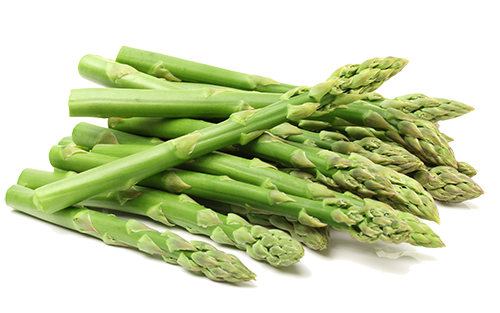 Fresh green asparagus on white background.