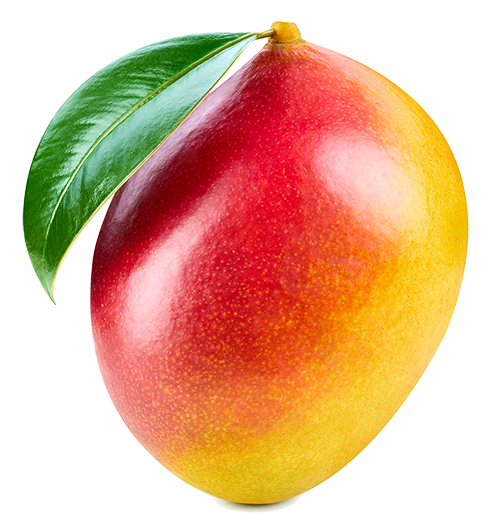 Mango isolated on white background.